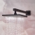 Bristan Cruzar Dual Concealed Mixer Shower with Shower Kit and Fixed Head - Black | Thumbnail Image
