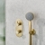 Bristan Molida Dual Concealed Mixer Shower with Fixed Head and Handset - Brushed Brass | Thumbnail Image
