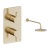 Britton Hoxton 2.0 Brushed Brass Single Outlet Concealed Thermostatic Shower Set with Fixed Head | Thumbnail Image