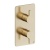 Britton Hoxton 2.0 Brushed Brass Dual Outlet Concealed Thermostatic Shower Valve with Diverter | Thumbnail Image
