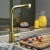 Delphi Adria Kitchen Sink Mixer Tap - Brushed Gold