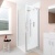 Delphi Alpha Chrome 5mm Pivot Shower Door 800mm Wide | Thumbnail Image