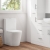 Delphi Angel Rimless Fully Back to Wall Close Coupled Pan with Push Button Cistern - Standard Soft Close Seat