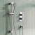 Delphi Ashwell Thermostatic Dual Concealed Mixer Shower with Shower Kit - Chrome | Thumbnail Image