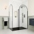 Delphi Astoria Matt Black Walk-In Shower Enclosure with Return Panel | Thumbnail Image