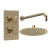 Delphi Axiom Crosshead Brushed Brass Dual Concealed Shower Set with Fixed Head | Thumbnail Image