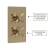 Delphi Axiom Crosshead Brushed Brass Dual Concealed Shower Set with Fixed Head and Handset | Thumbnail Image