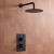 Delphi Axiom Lever Matt Black Dual Concealed Shower Set with Fixed Head | Thumbnail Image