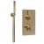 Delphi Axiom Lever Brushed Brass Dual Concealed Shower Set with Handset and Bracket | Thumbnail Image