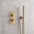 Delphi Axiom Lever Brushed Brass Dual Concealed Shower Set with Handset and Bracket | Thumbnail Image