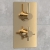 Delphi Axiom Lever Brushed Brass Dual Concealed Shower Set with Fixed Head | Thumbnail Image
