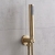 Delphi Axiom Lever Brushed Brass Dual Concealed Shower Set with Fixed Head and Handset | Thumbnail Image