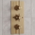 Delphi Axiom Lever Brushed Brass Triple Concealed Shower Set with Fixed Head and Handset | Thumbnail Image