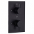 Delphi Bilbrook Thermostatic Dual Concealed Mixer Shower with Fixed Shower Head - Black | Thumbnail Image