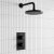 Delphi Bilbrook Thermostatic Dual Concealed Mixer Shower with Fixed Shower Head - Black | Thumbnail Image