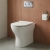 Delphi Capri Rimless Back to Wall Toilet (inc Soft Close Slim Seat) | Thumbnail Image