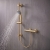 Delphi Cara Round Brushed Brass Bar Mixer Shower Set with Slide Rail Kit | Thumbnail Image