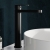 Delphi Cargo Matt Black High Rise Tall Mono Basin Mixer Tap | Thumbnail Image
