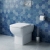 Delphi Colt Rimless Back to Wall Toilet (inc Soft Close Seat) | Thumbnail Image