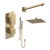 Delphi Edge Brushed Brass Dual Concealed Shower Set with Fixed Head and Slide Rail Kit | Thumbnail Image