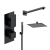 Delphi Edge Black Dual Concealed Shower Set with Fixed Head and Handset | Thumbnail Image