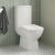 Delphi Entice Compact Close Coupled Toilet (inc Soft Close Seat) | Thumbnail Image