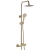 Delphi Henley Thermostatic Bar Mixer Shower with Fixed Head and Shower Kit - Brushed Brass