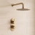 Delphi Loop Brushed Brass Dual Concealed Shower Set with Fixed Head | Thumbnail Image