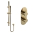 Delphi Loop Brushed Brass Dual Concealed Shower Set with Slide Rail Kit | Thumbnail Image