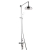 Delphi Loxton Thermostatic Exposed Mixer Shower with Shower Kit + Fixed Shower Head - Chrome