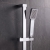 Delphi Nectar Chrome Dual Concealed Shower Set with Slide Rail Kit | Thumbnail Image
