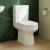 Delphi Nimbus Close Coupled Toilet (inc Soft Close Seat) | Thumbnail Image