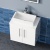 Delphi Nordic White 600mm 2-Door Wall Hung Countertop Vanity Unit | Thumbnail Image