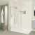 Delphi Optics Chrome Wet Room Shower Screen | Thumbnail Image