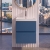 Delphi Penthouse 500mm 2-Drawer Wall Hung Vanity Unit (inc Basin) | Thumbnail Image