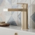 Delphi Port Brushed Brass Mono Basin Mixer Tap | Thumbnail Image