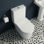 Delphi Porter Rimless Open Back Close Coupled Toilet (inc Soft Close Slim Seat) | Thumbnail Image