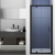Delphi Inspire Matt Black Pivot Shower Door - 6mm Glass