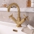 Delphi Sedona Brushed Brass Mono Basin Mixer Tap (inc Pop-Up Waste) | Thumbnail Image