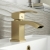 Delphi Swallow Brushed Brass Cloakroom Mini Mono Basin Mixer Tap | Thumbnail Image