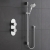Delphi Theory Chrome Dual Concealed Shower Set with Slide Rail Kit | Thumbnail Image