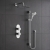 Delphi Theory Chrome Dual Concealed Shower Set with Large Drencher Head and Slide Rail Kit | Thumbnail Image