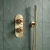 Delphi Turbine Brushed Brass Dual Concealed Shower Set with Handset and Bracket | Thumbnail Image