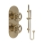 Delphi Turbine Brushed Brass Dual Concealed Shower Set with Slide Rail Kit | Thumbnail Image