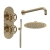 Delphi Turbine Brushed Brass Dual Concealed Shower Set with Fixed Head and Handset | Thumbnail Image