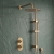Delphi Turbine Brushed Brass Dual Concealed Shower Set with Fixed Head and Slide Rail Kit | Thumbnail Image