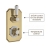 Delphi Windsor Brushed Brass Dual Concealed Shower Set with Slide Rail Kit | Thumbnail Image