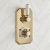 Delphi Windsor Brushed Brass Dual Concealed Shower Set with Slide Rail Kit | Thumbnail Image