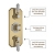 Delphi Windsor Brushed Brass Triple Concealed Shower Set with Large Drencher Head and Slide Rail Kit | Thumbnail Image