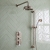 Delphi Windsor Brushed Pewter Triple Concealed Shower Set with Fixed Head and Slide Rail Kit | Thumbnail Image